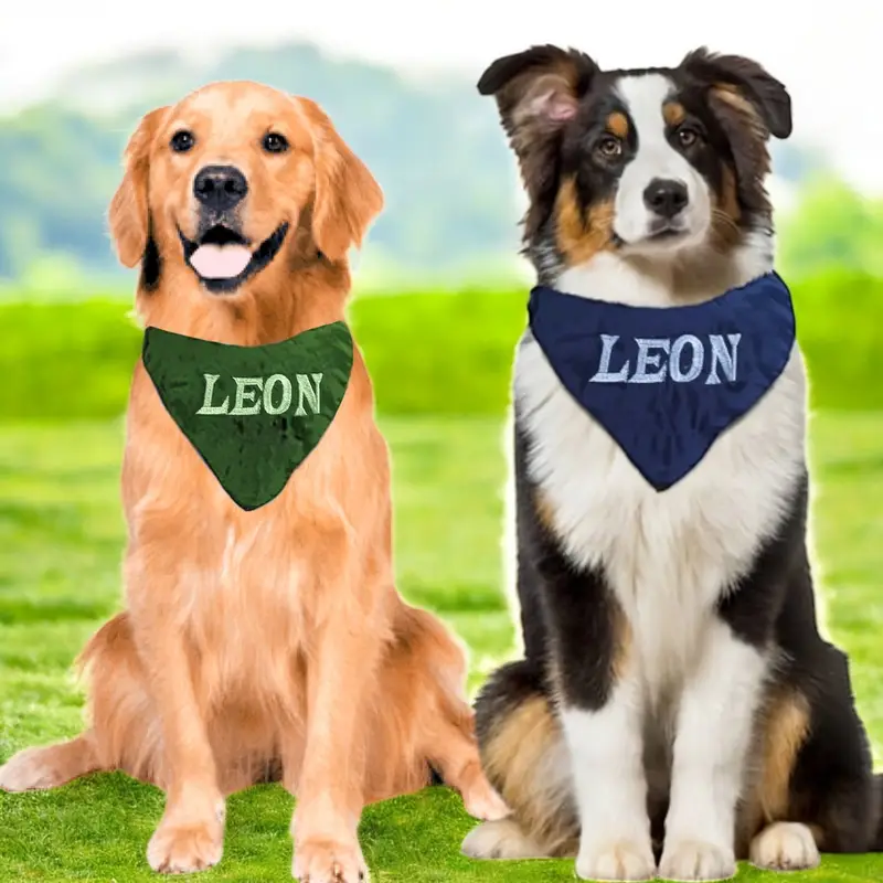 Bandana for dogs embroidered with name, photo 10