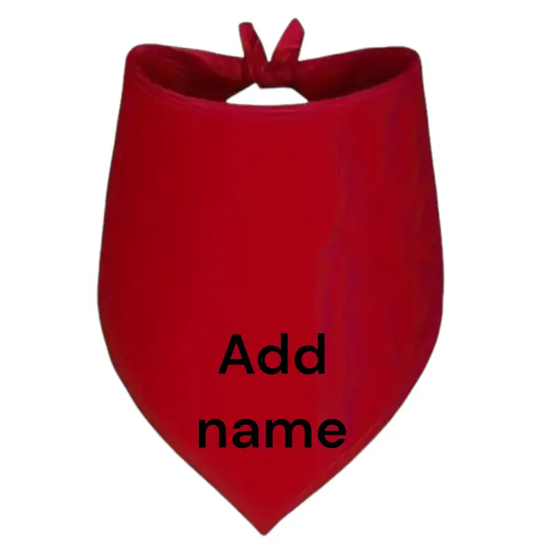 Bandana for dogs embroidered with name, photo 2