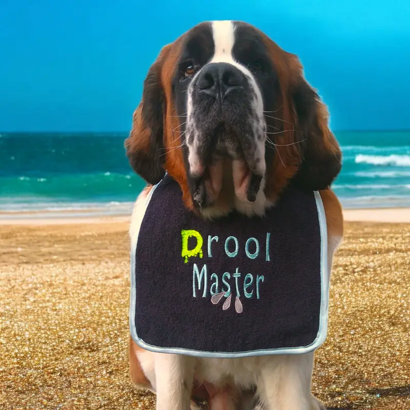 Drool Master dog bib, photo 5