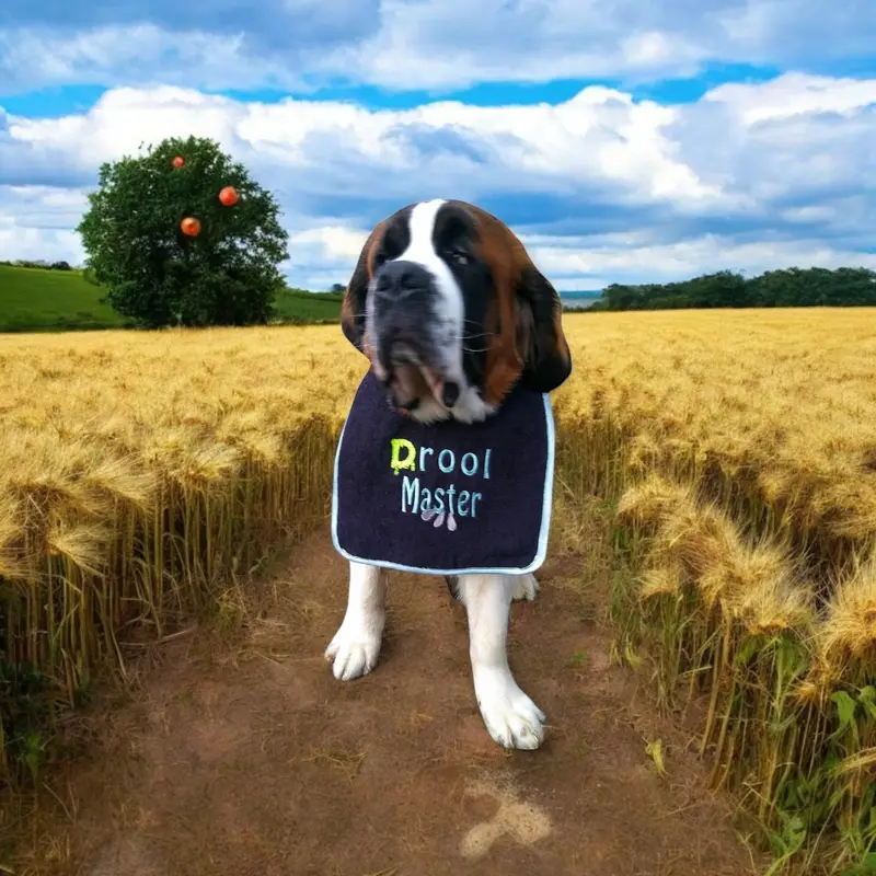 Drool Master dog bib, photo 7