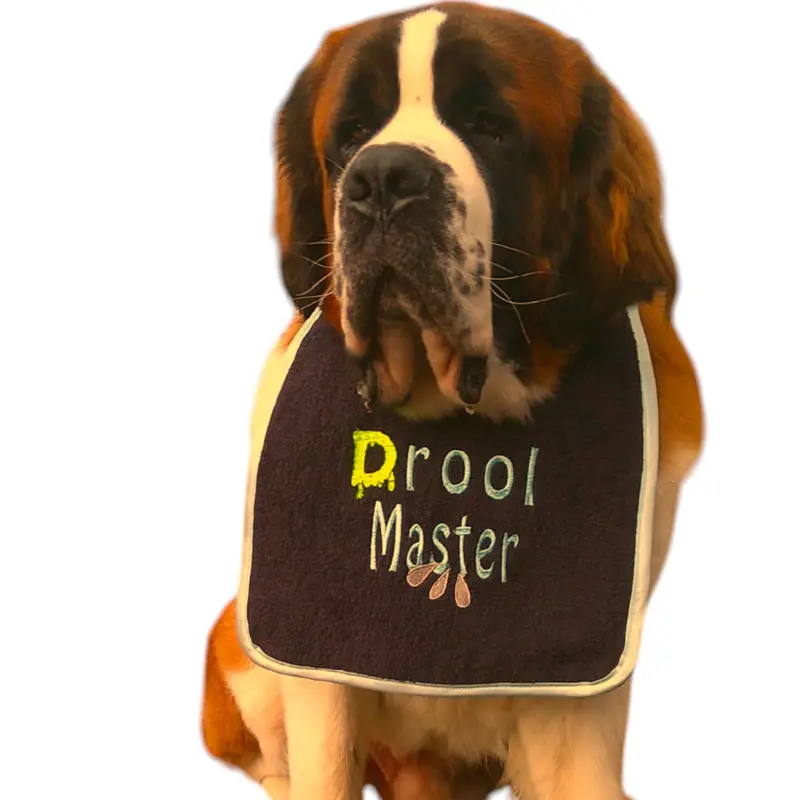 Drool Master dog bib, photo 2