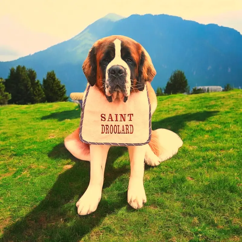 Personalised Dog Bib for Drooling Dogs: saint droolard