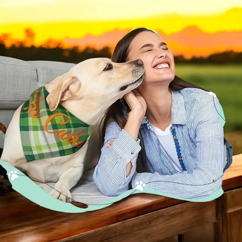Plaid Dog Bandanas Set of 3: bandana printed