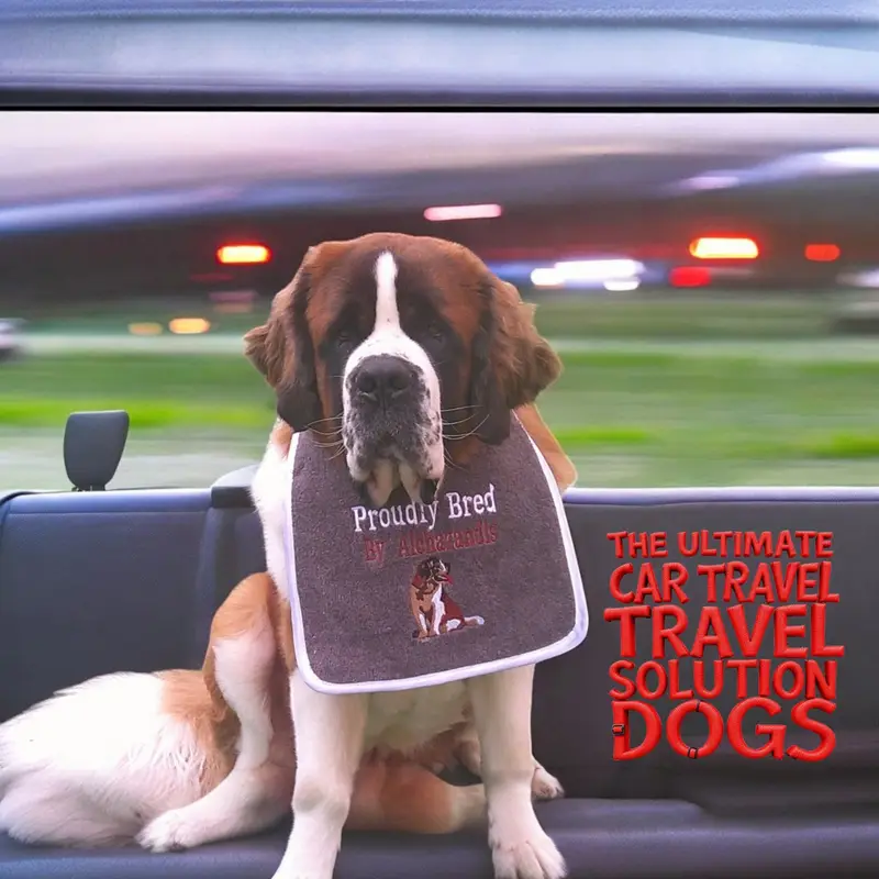 Premium Personalised Saint Bernard Dog Bib: st bernard proudly