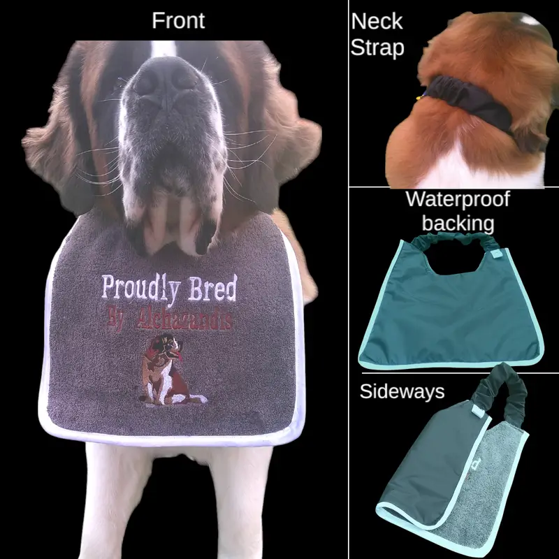 Premium Personalised Saint Bernard Dog Bib: st bernard proudly