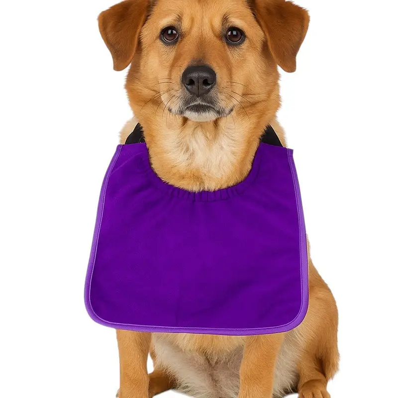 Plush  Microfibre Dog Bib: microfiber bib purple