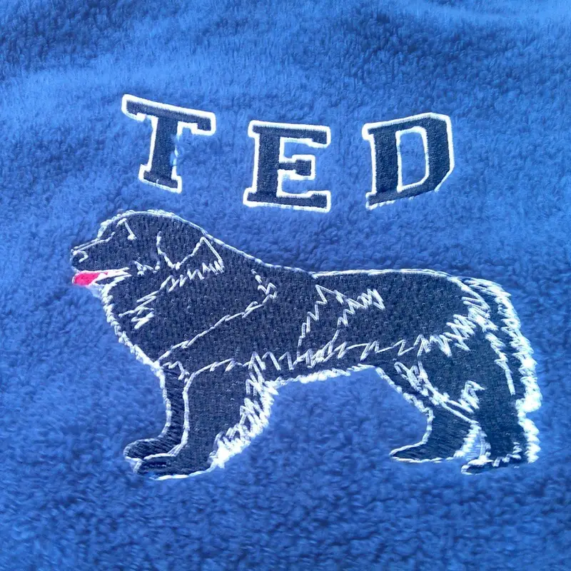 ted printed on bib