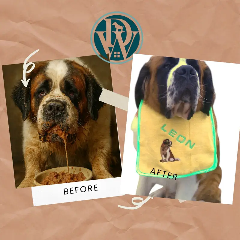 Personalised Saint Bernard Dog Bib: sb sit