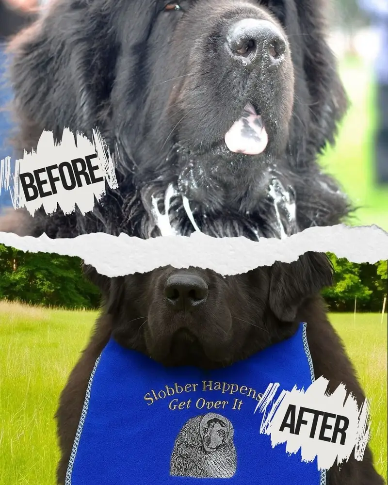 Luxury Newfoundland Dog Bib: slobber happens
