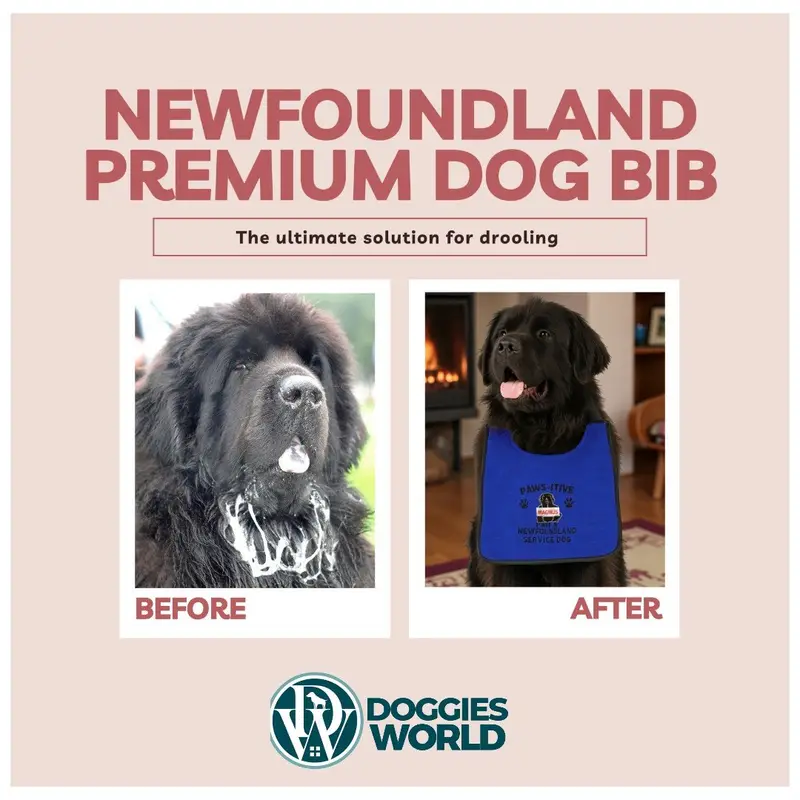 Personalised Newfoundland Dog Bib: pawsitive