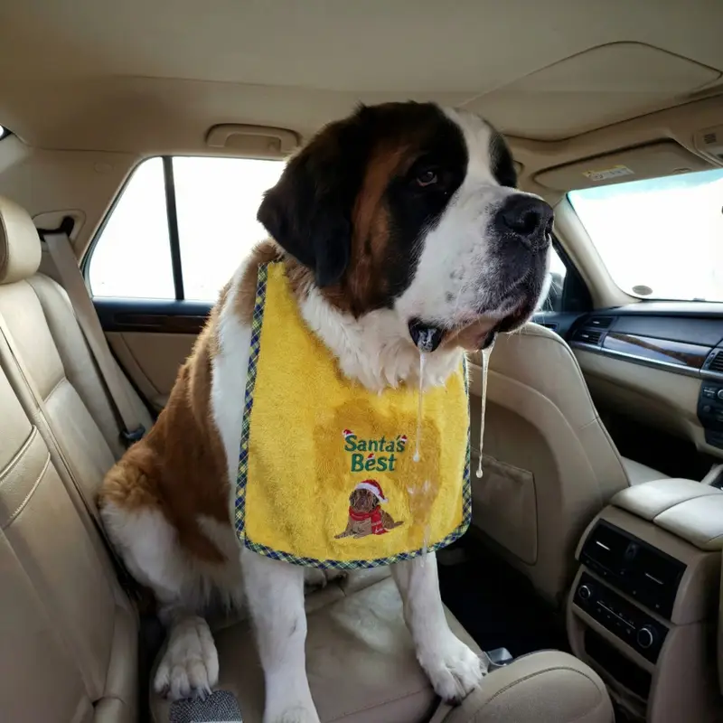 Santa’s Best Embroidered Dog Bib: santas best