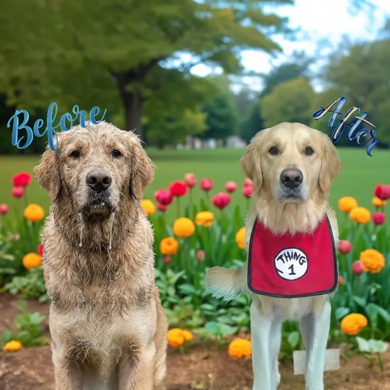 Comic-Style Embroidered Dog Bibs: thing bib
