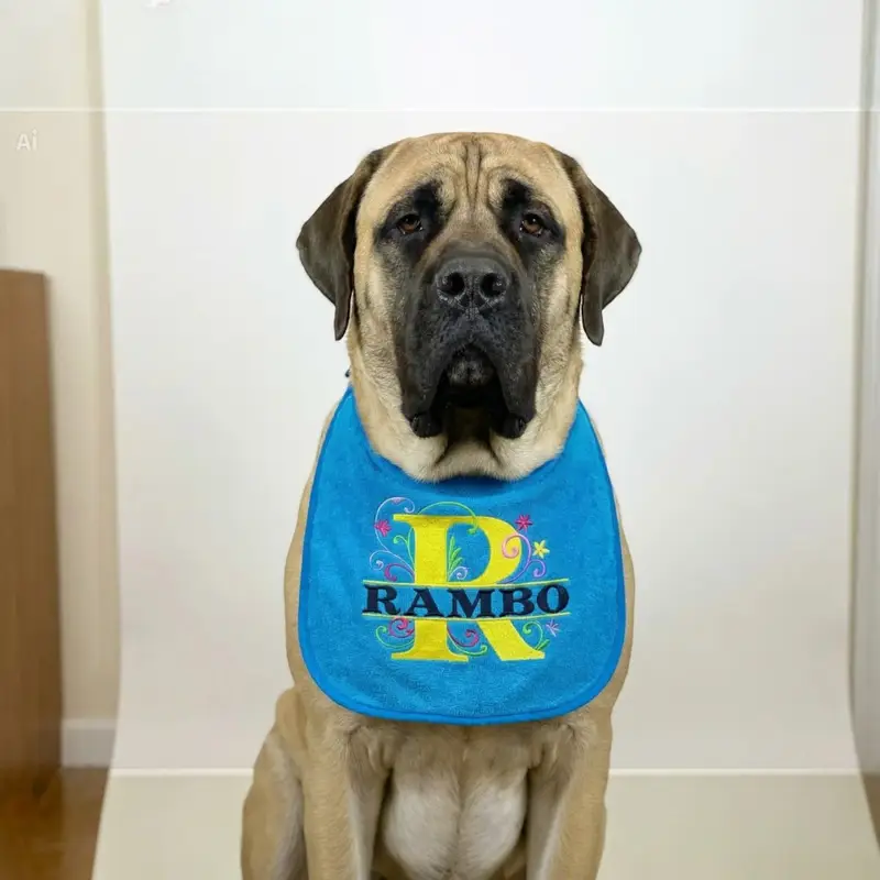 Personalised Dog Bib with Decorative Initial & Name: floral