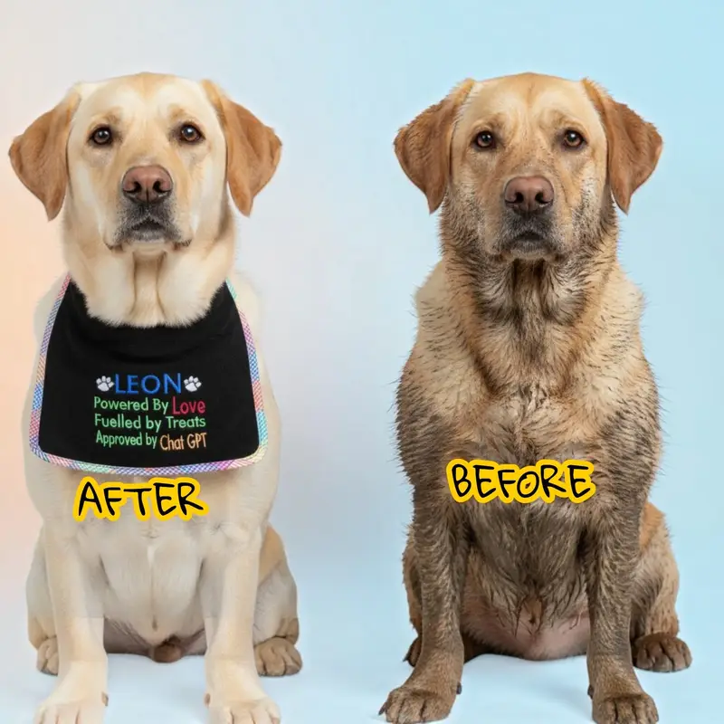 Personalised Dog Bib: chat gpt
