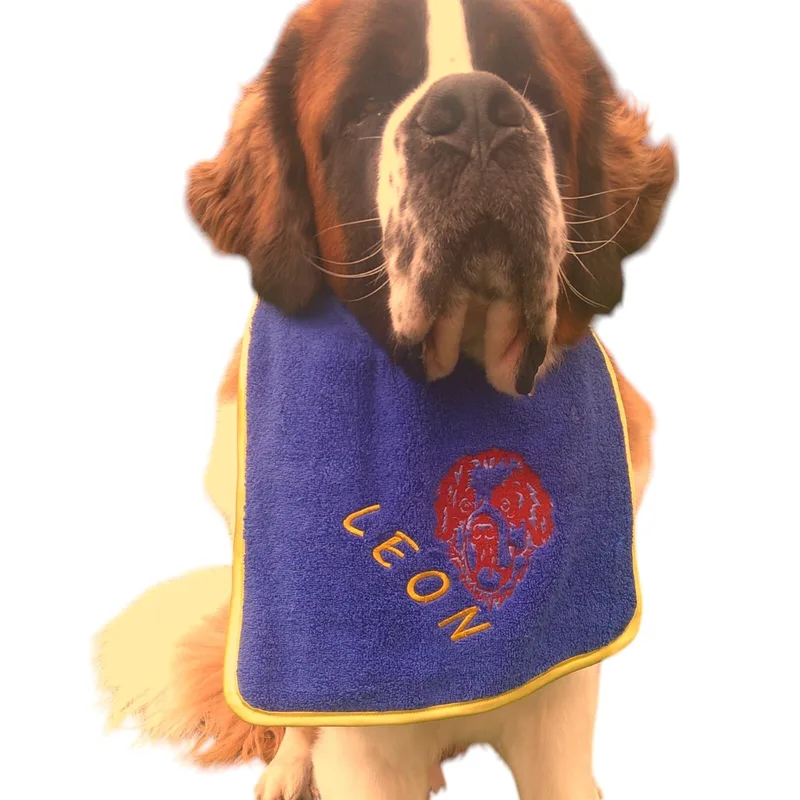 Saint Bernard wearing a blue bib with a red Saint Bernard face and the name LEON