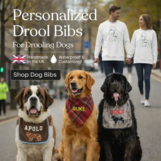 A Saint Bernard, a Golden Retriever and a Newfoundland wearing personalised DoggiesWorld drool bibs and a bandana